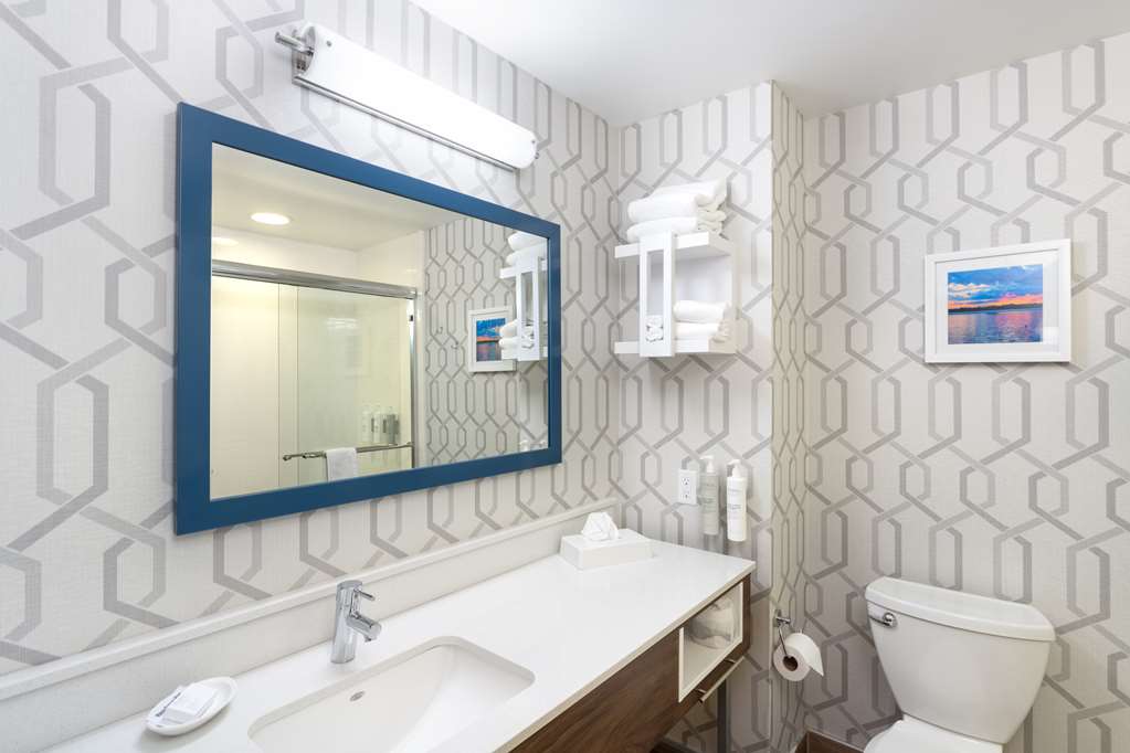 Hampton Inn Buffalo South/I-90 Image