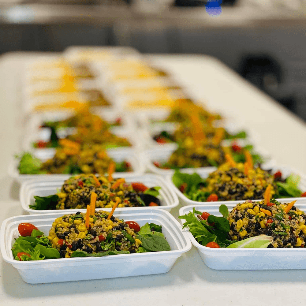 14 Day Meal Plan / 3 Meals a Day (42 Meals)