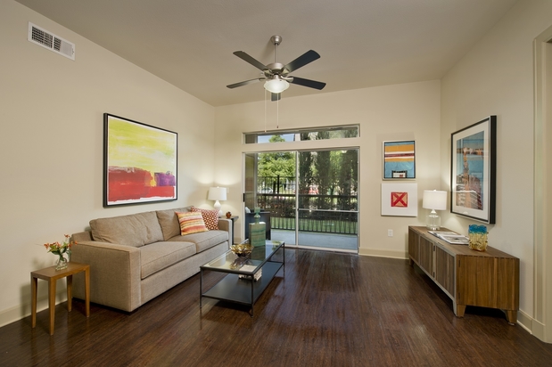Images Domain by Windsor