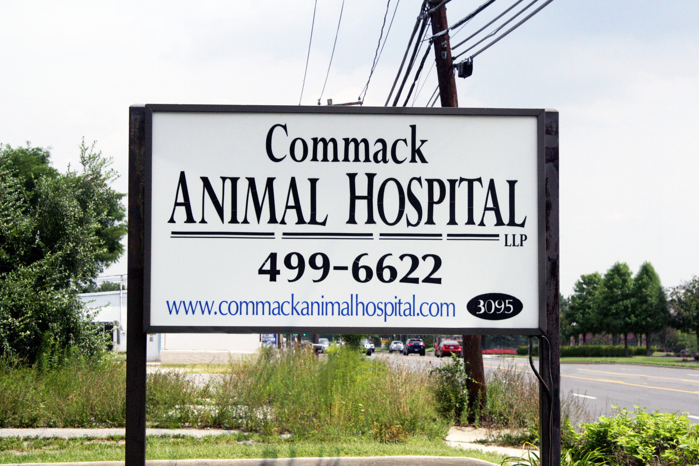 Commack Animal Hospital Photo