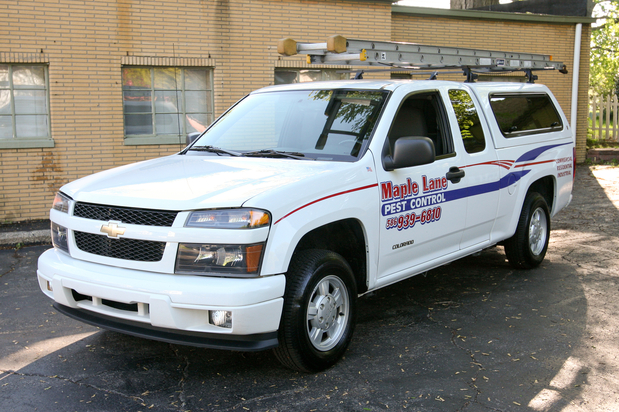 Images Maple Lane Pest Control