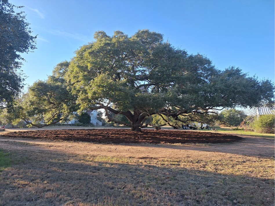 Texas Tree Services Image