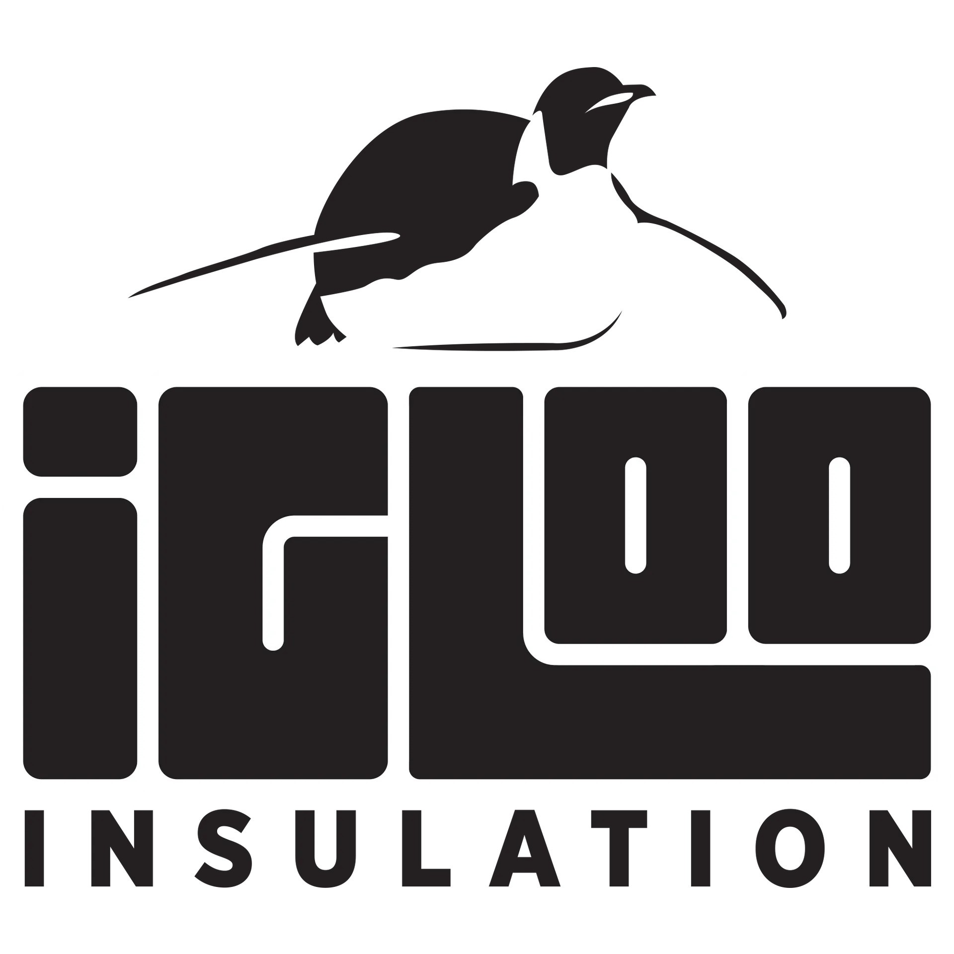Igloo Insulation