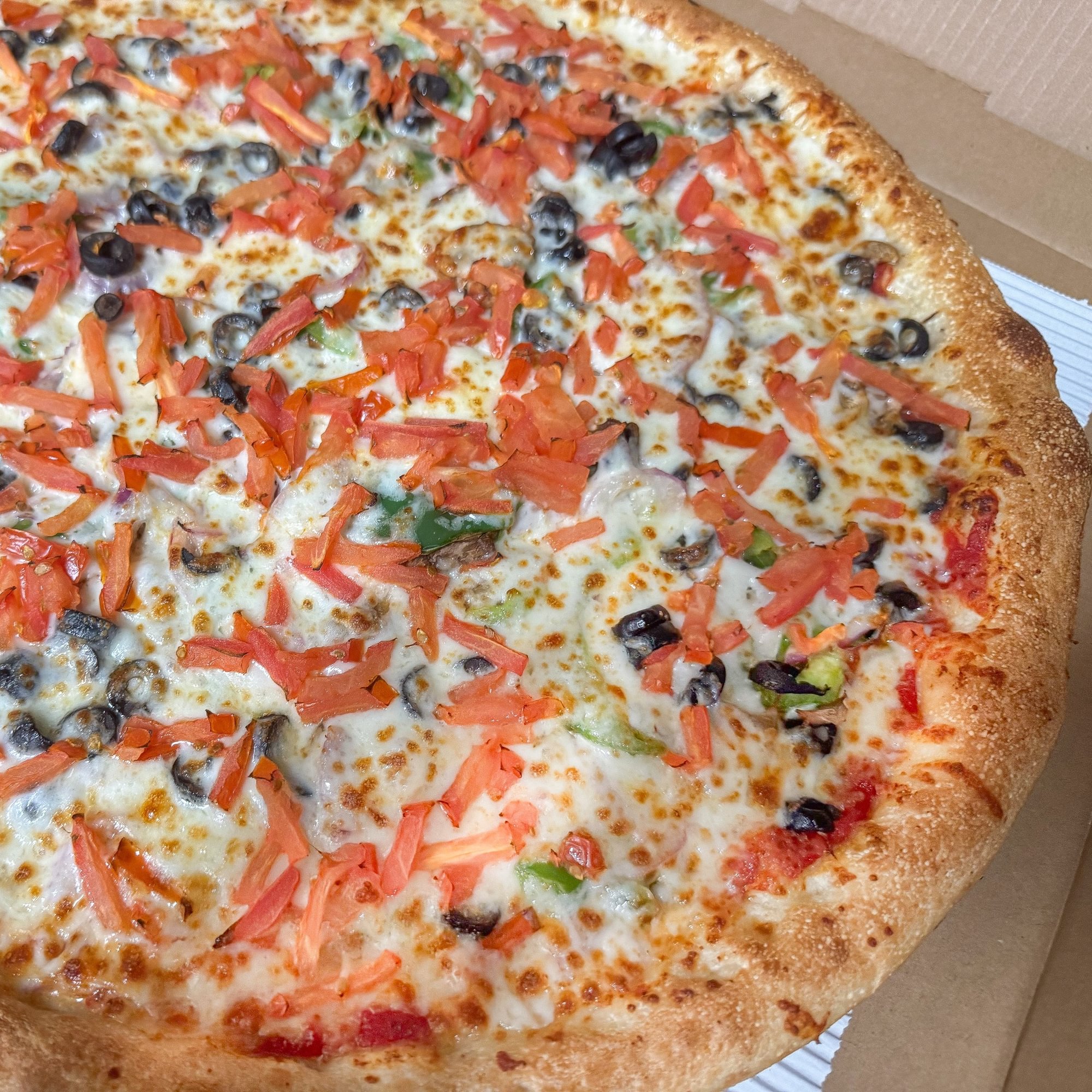 Vegetarian Special Pizza (X-Large 18")