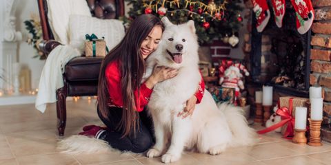 3 Holiday Pet Care Tips