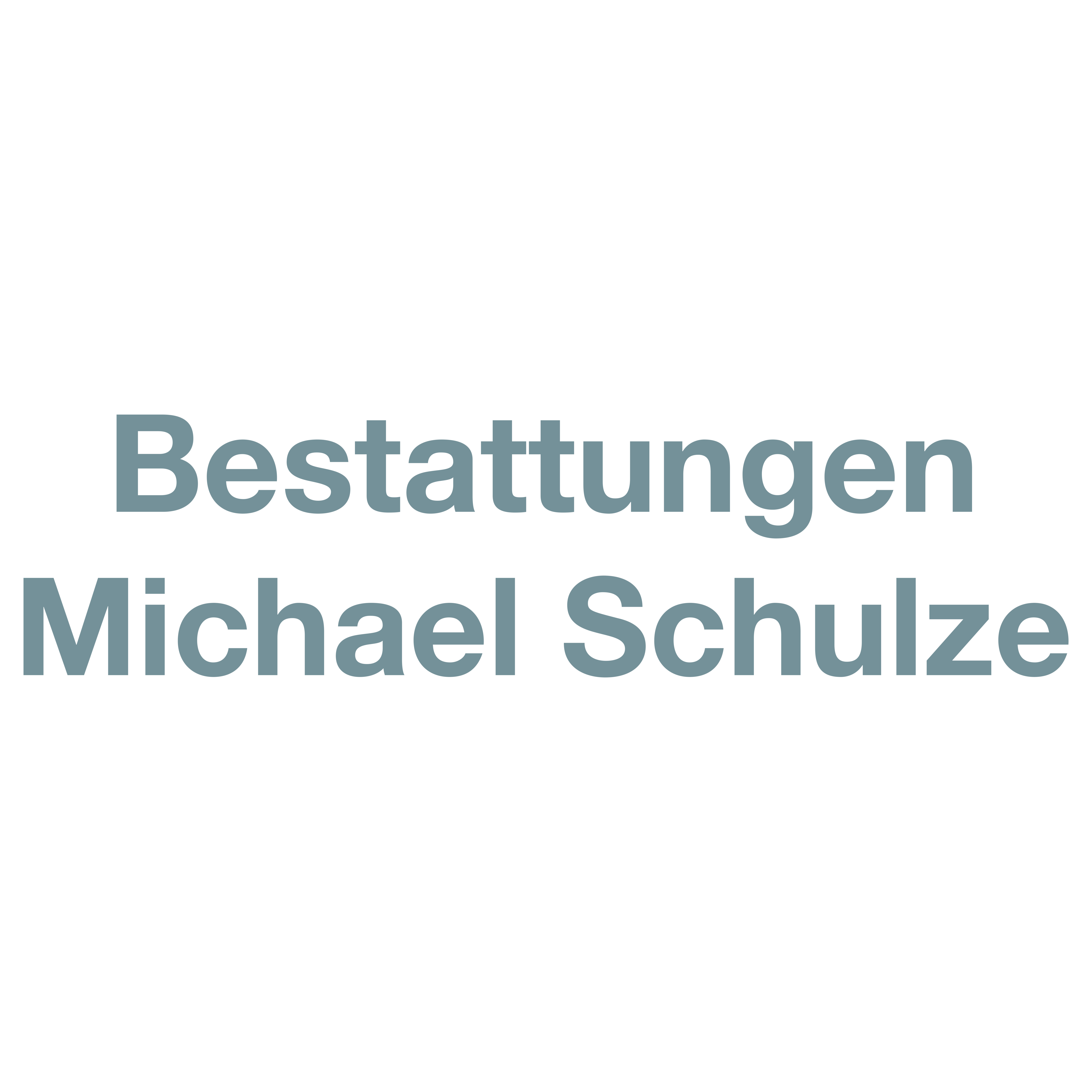 Logo von Michael Schulze Bestattungen