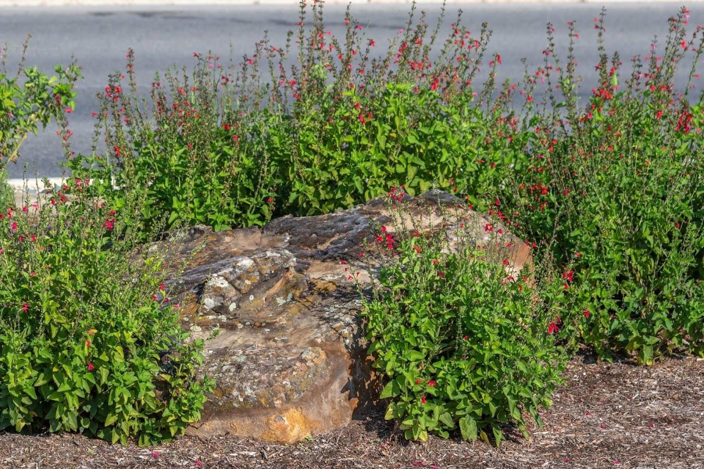 Maldonado Nursery & Landscaping, Inc. Image