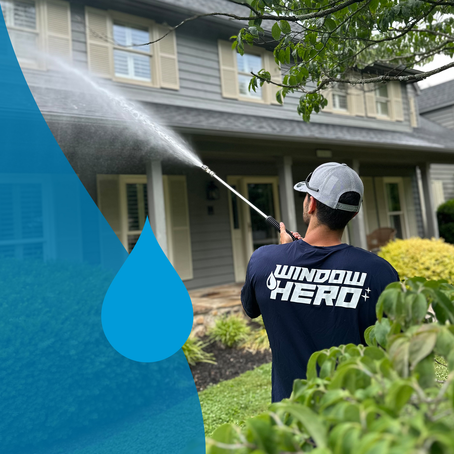 Window Hero Charlotte Image