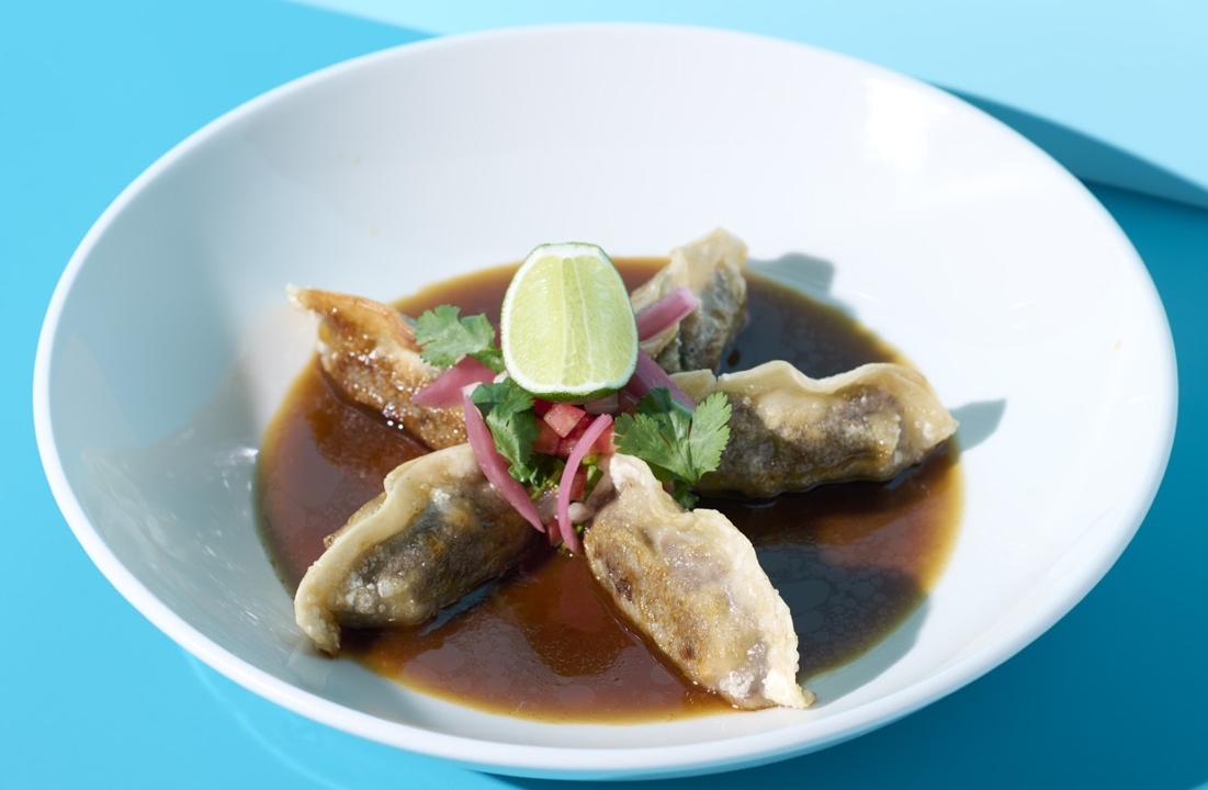 Birria Pot Stickers