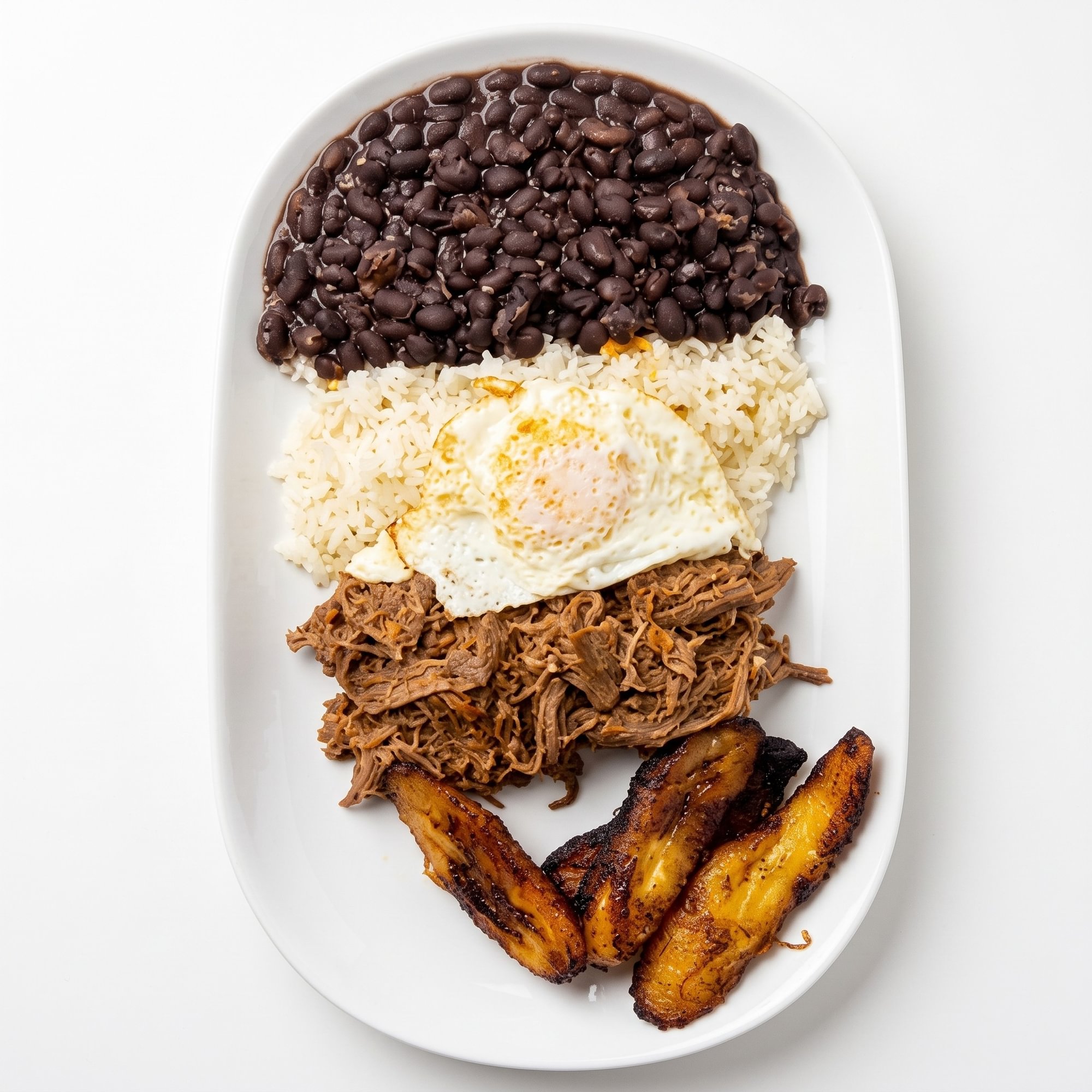 Pabellón Criollo / Venezuelan Pabellón