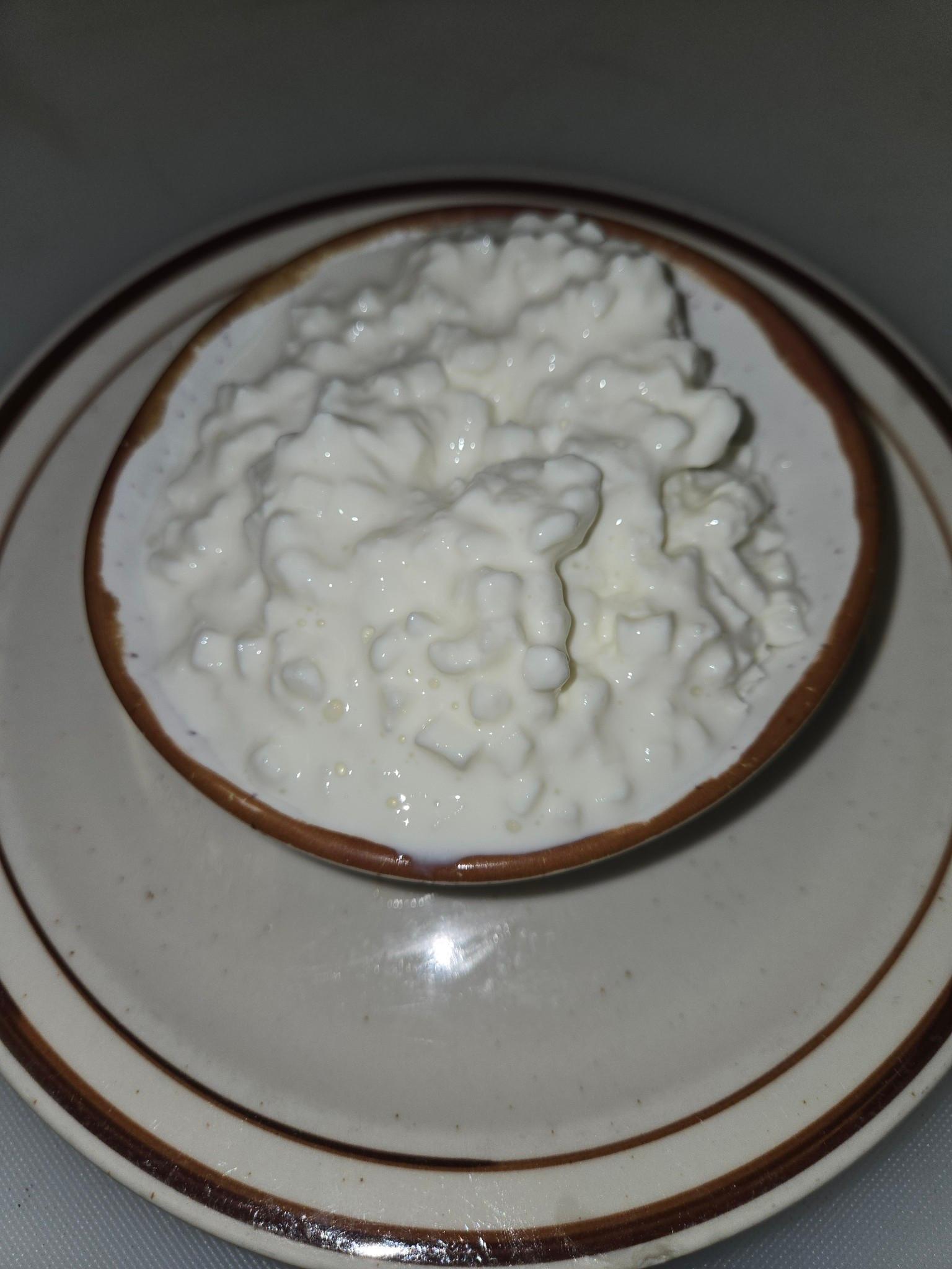 Cottage Cheese
