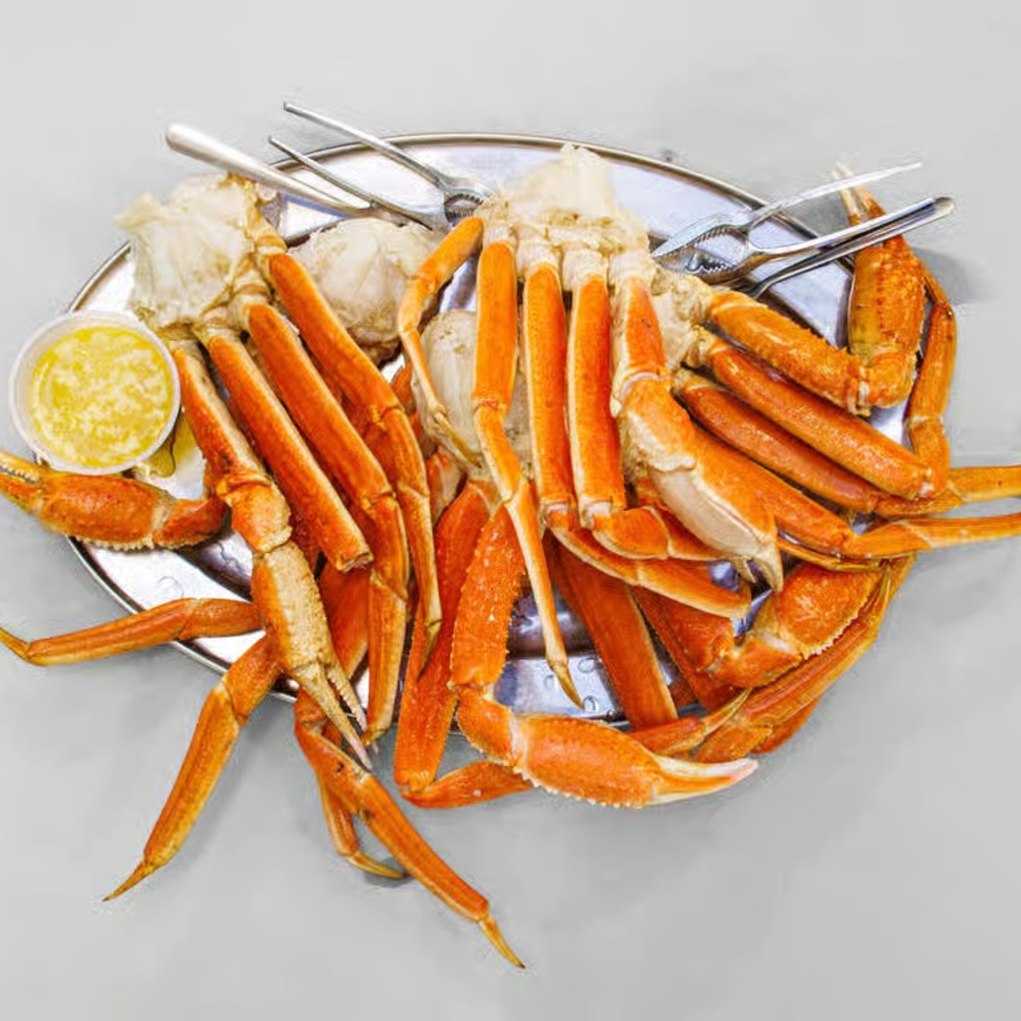 Snow Crab