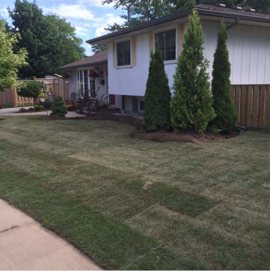 Images Burlington Lawn & Landscape Ltd