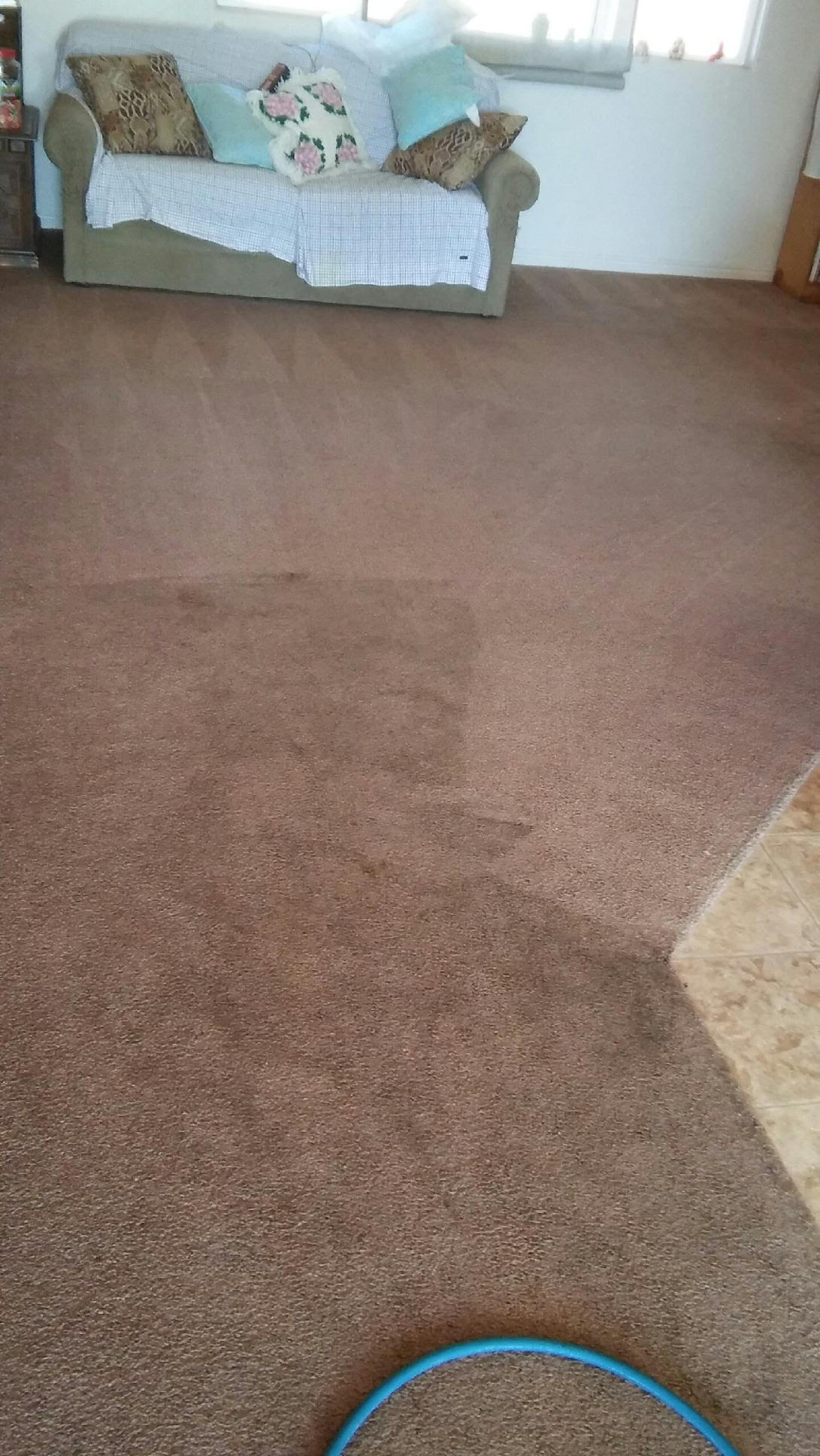 Can you spot the difference between the clean and dirty part of the carpet? SERVPRO can help when you make your carpets look brand new! Call us anytime, we're available at all times.