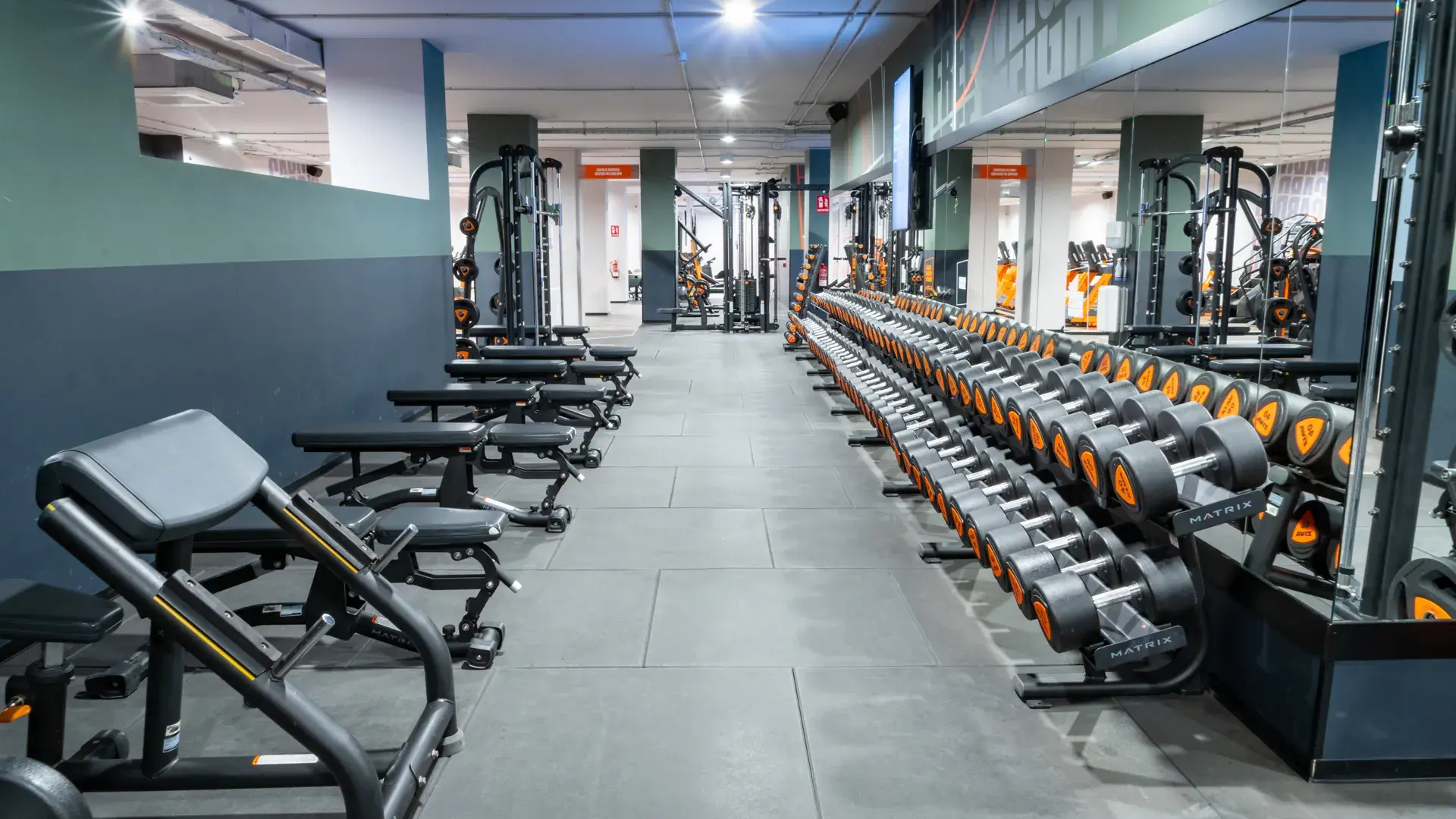 Galería en miniatura