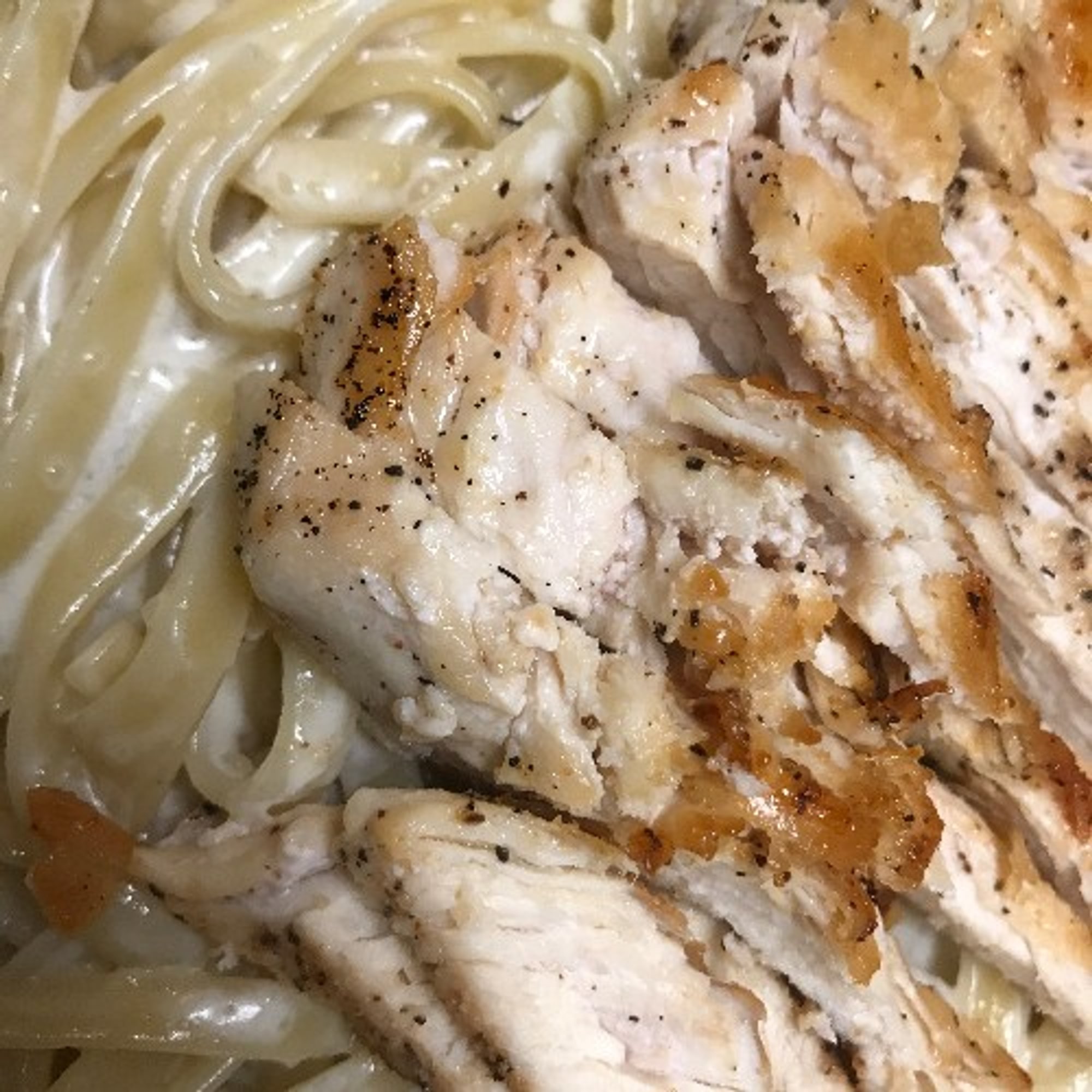 CHICKEN ALFREDO
