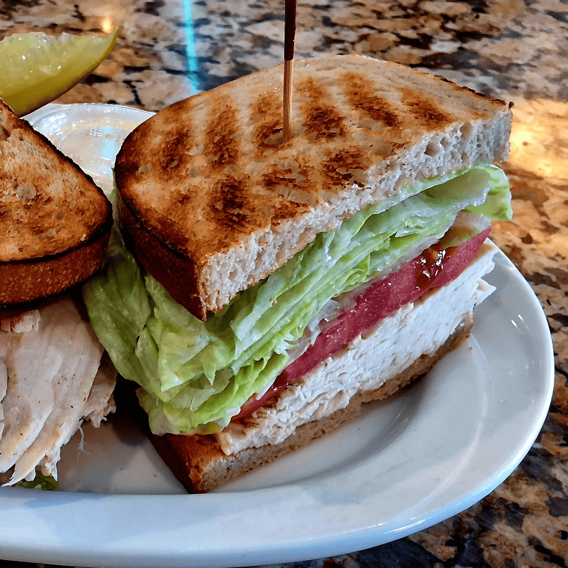 Roast Turkey Sandwich