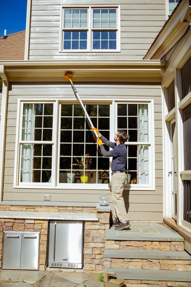 Pest & Termite Consultants Image