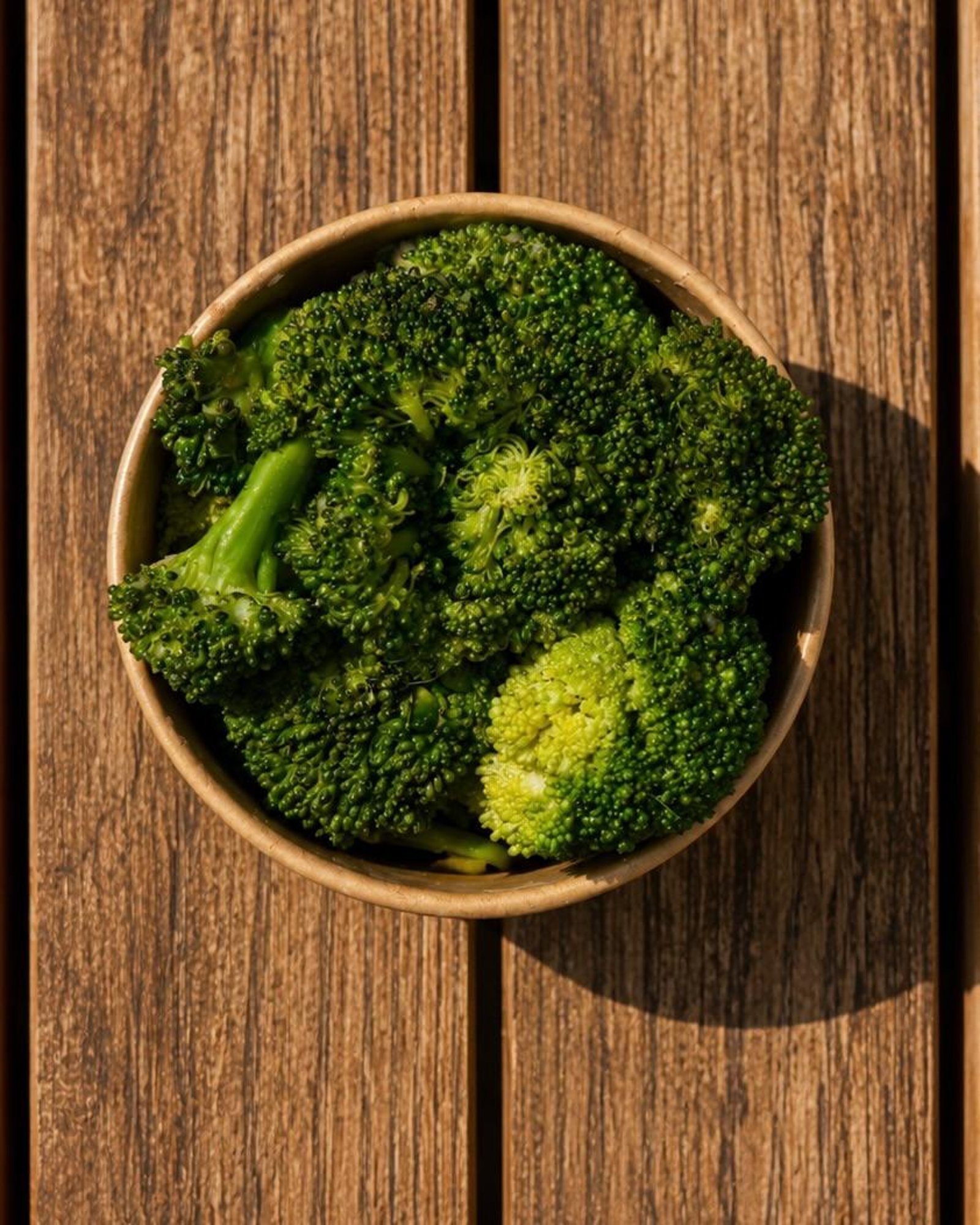 Garlic Broiled Broccoli