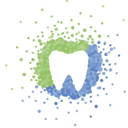 Brian Homann, DDS