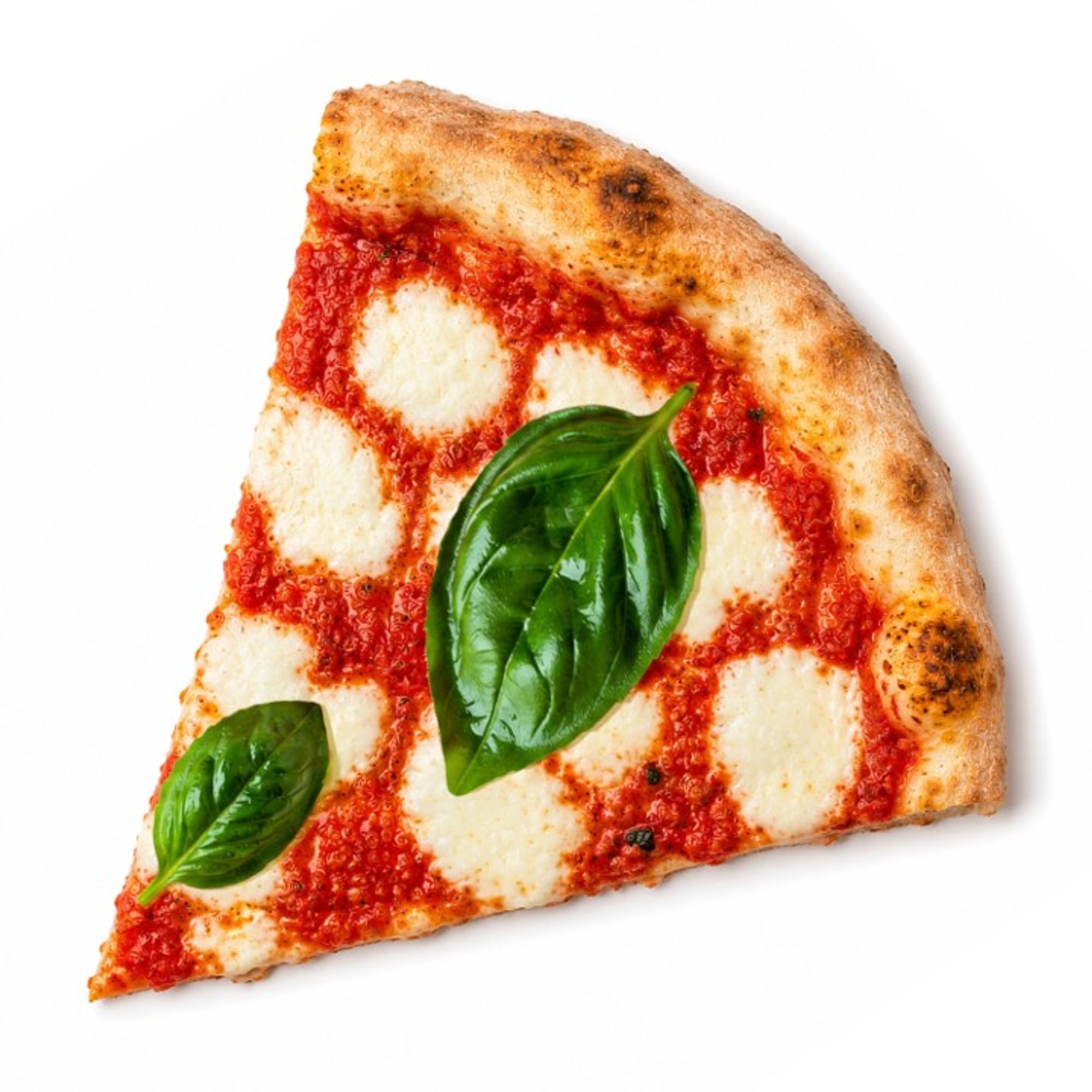 Margherita NY Slice
