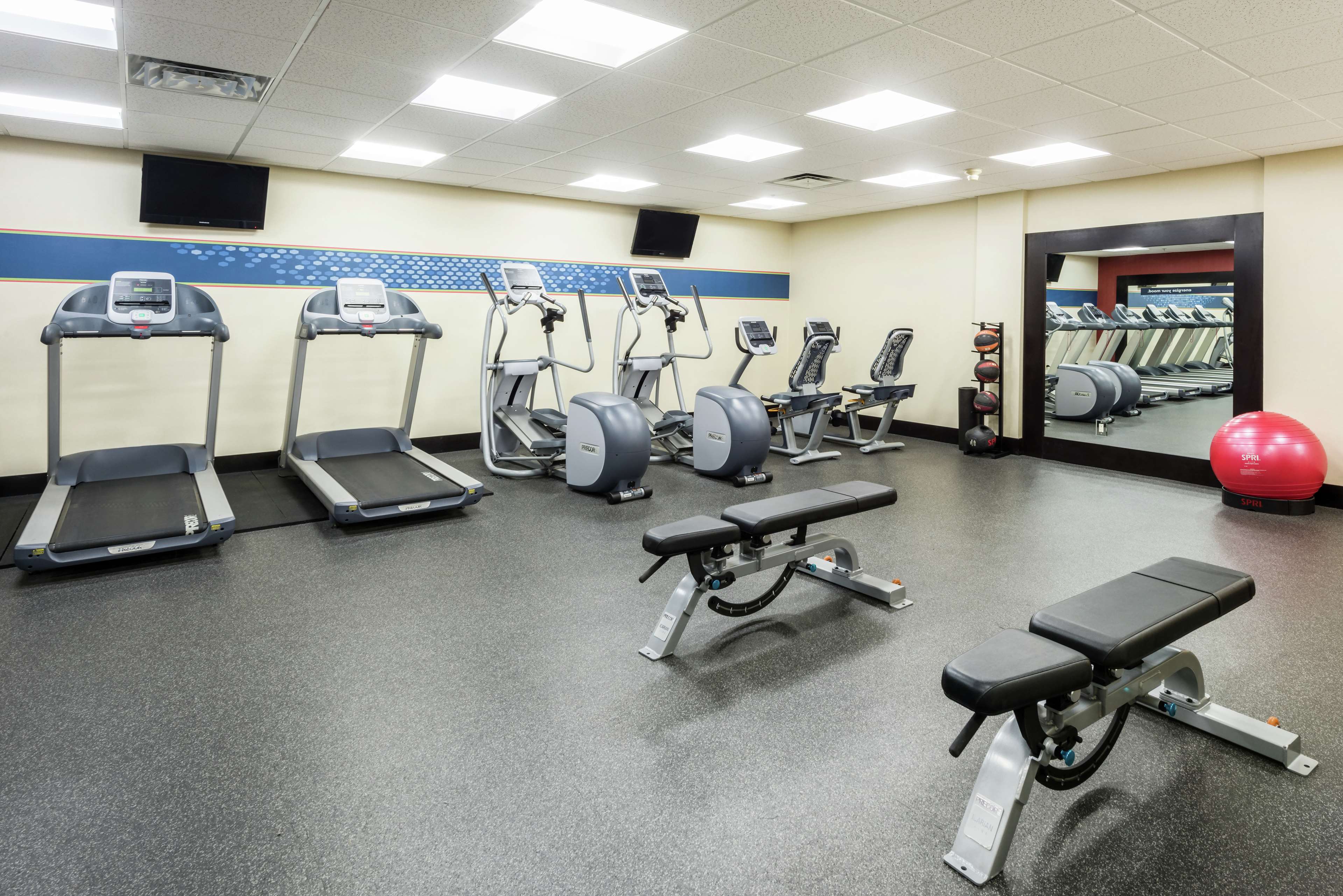 Health club  fitness center  gym