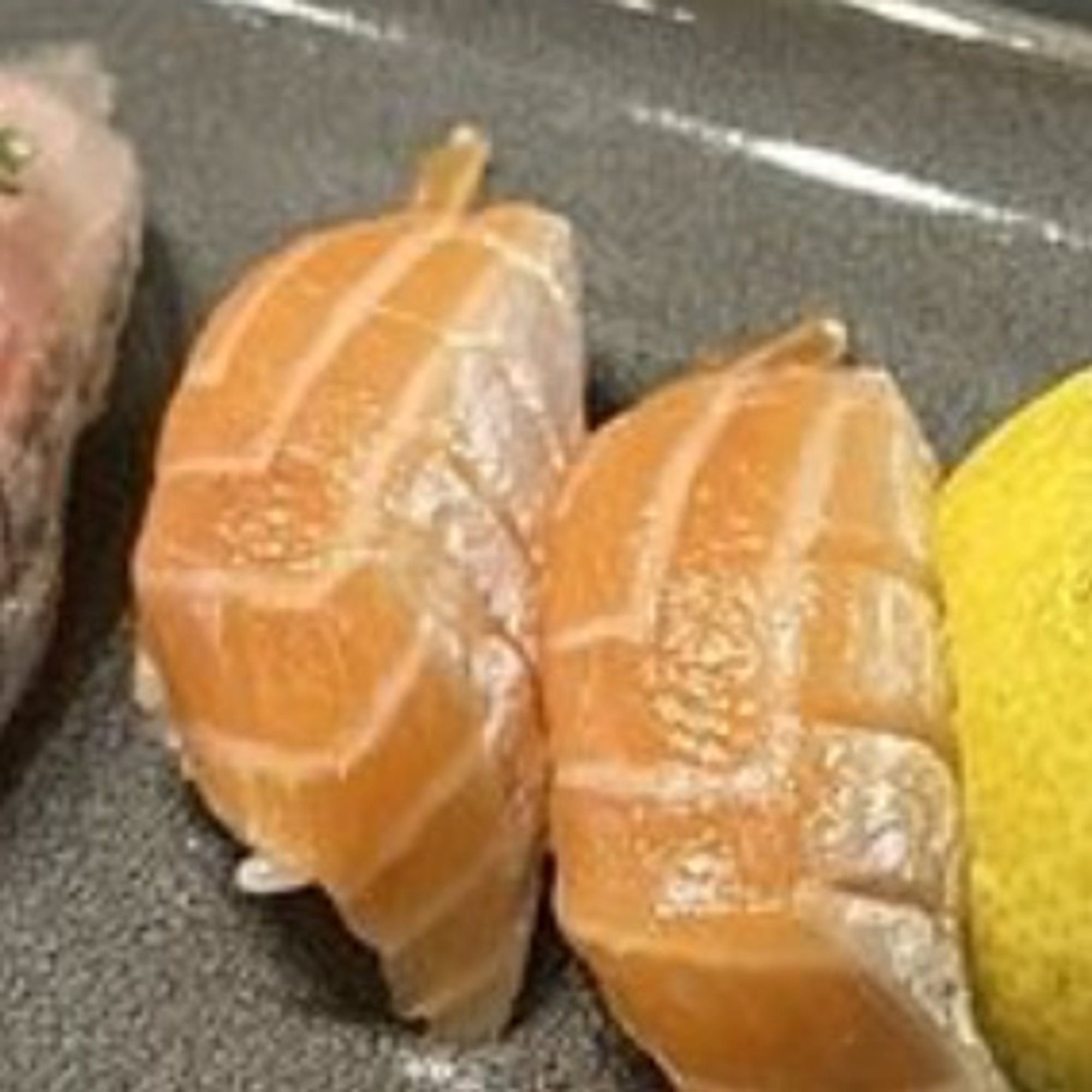 Sake Toro/SAlmon Belly