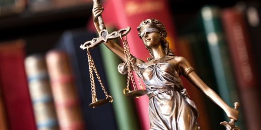 Images Braquet Law