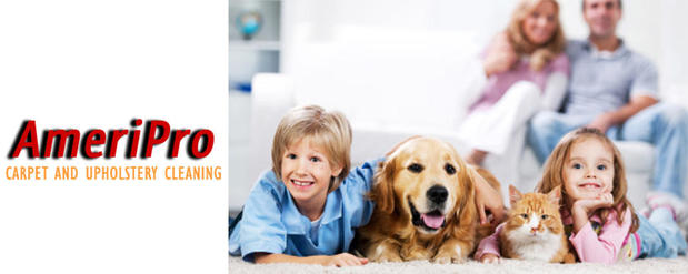 Images Ameripro Carpet Cleaning