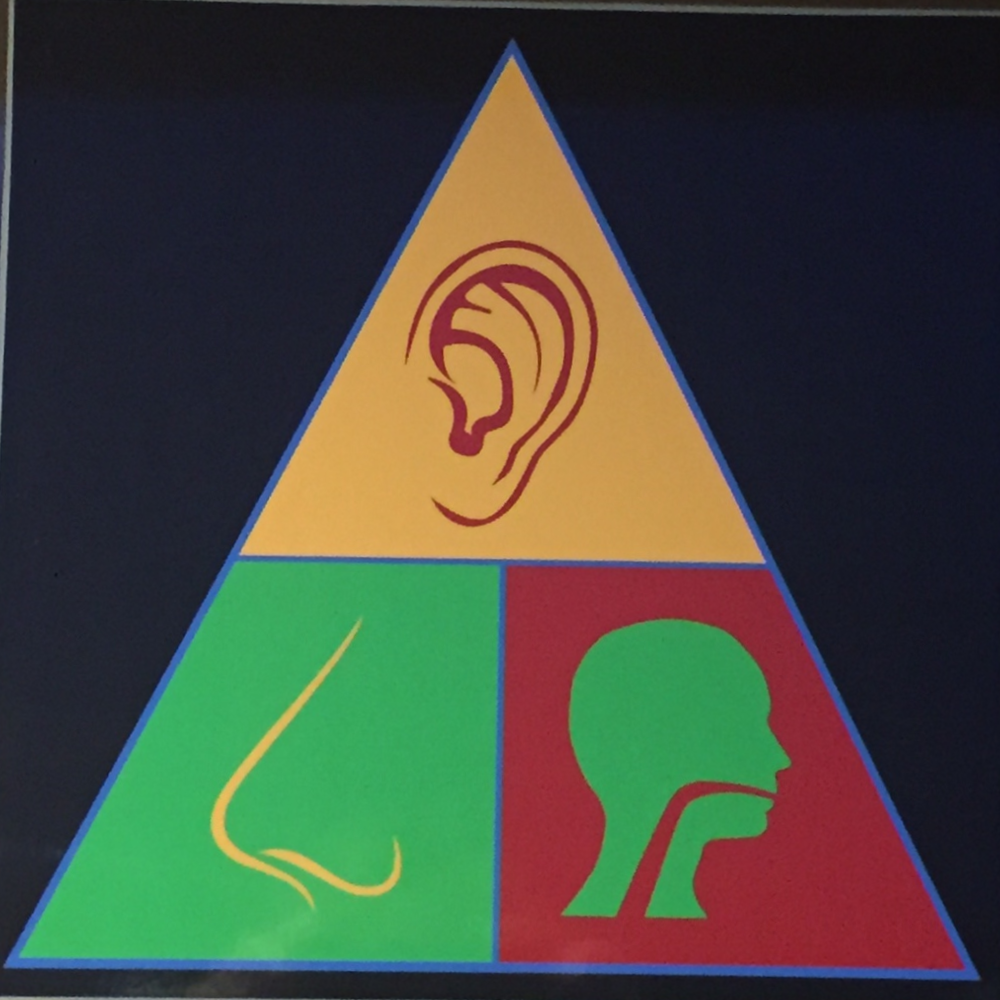 Fayette Ear, Nose, Throat And Allergy, P.C.