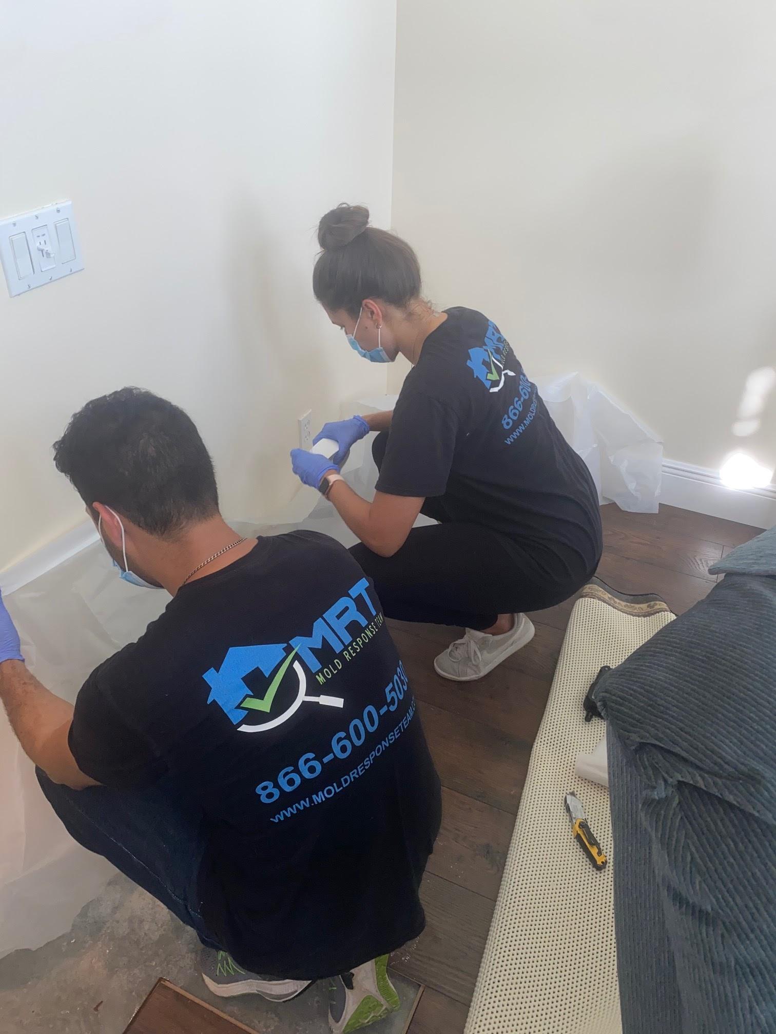 Mold Response Team Image