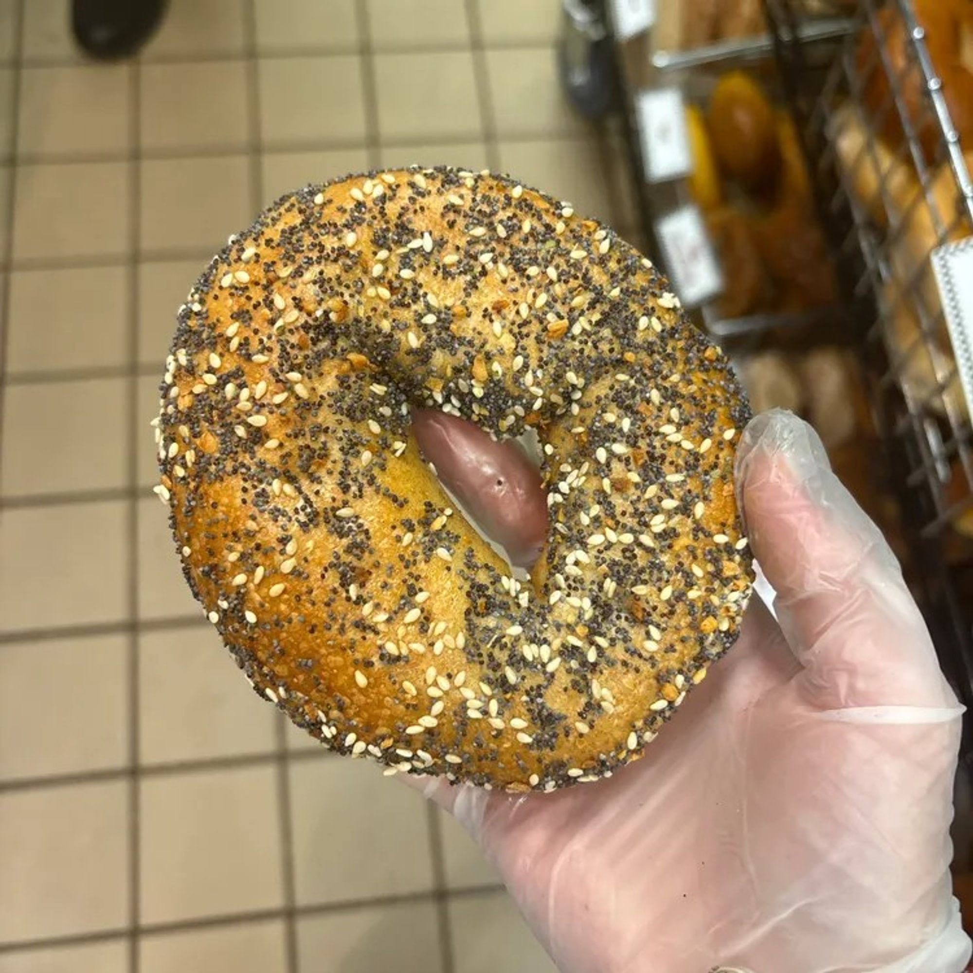 Whole Wheat Everything Bagel