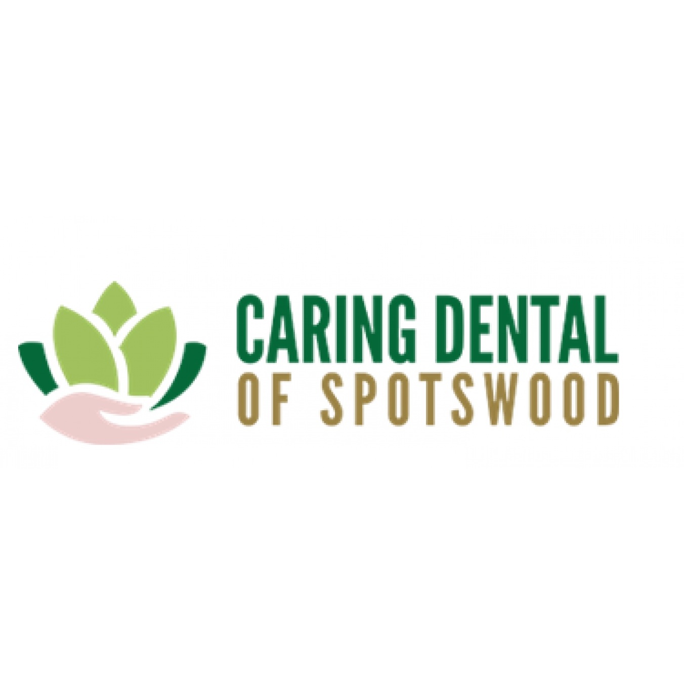 Caring Dental of Spotswood Logo