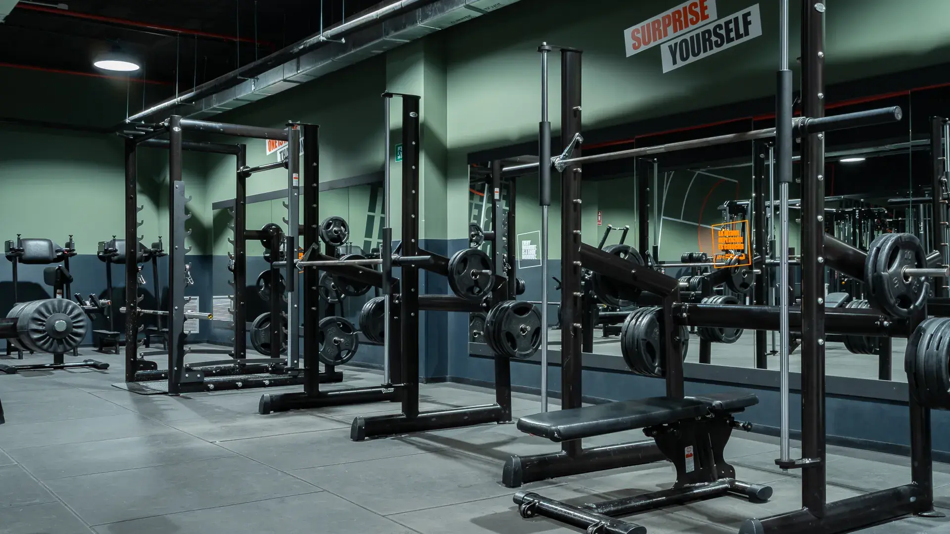 Galería de imágenes