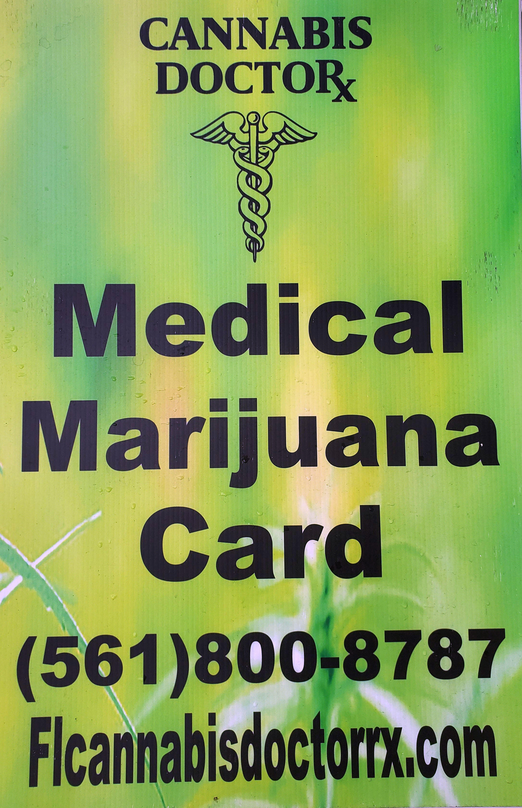 Cannabis Doctor X Photo
