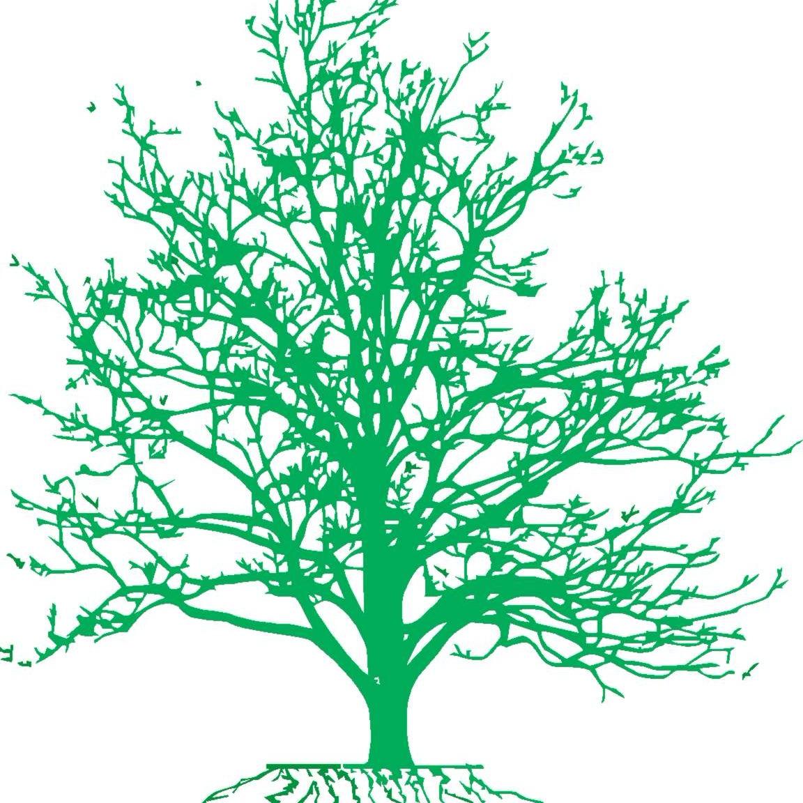 Brummer's Tree and Shrub LLC