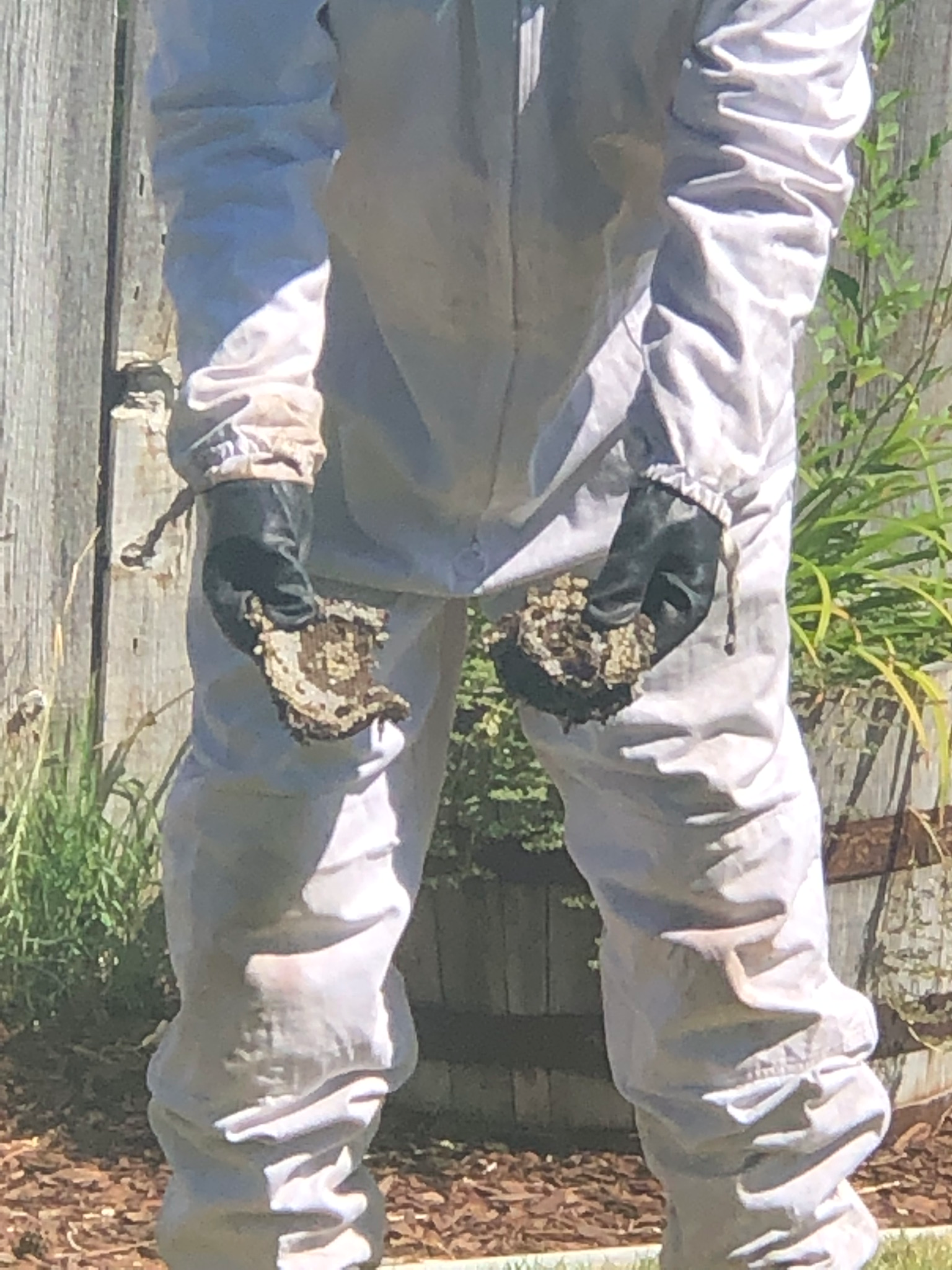Dewey Pest & Termite Control Image