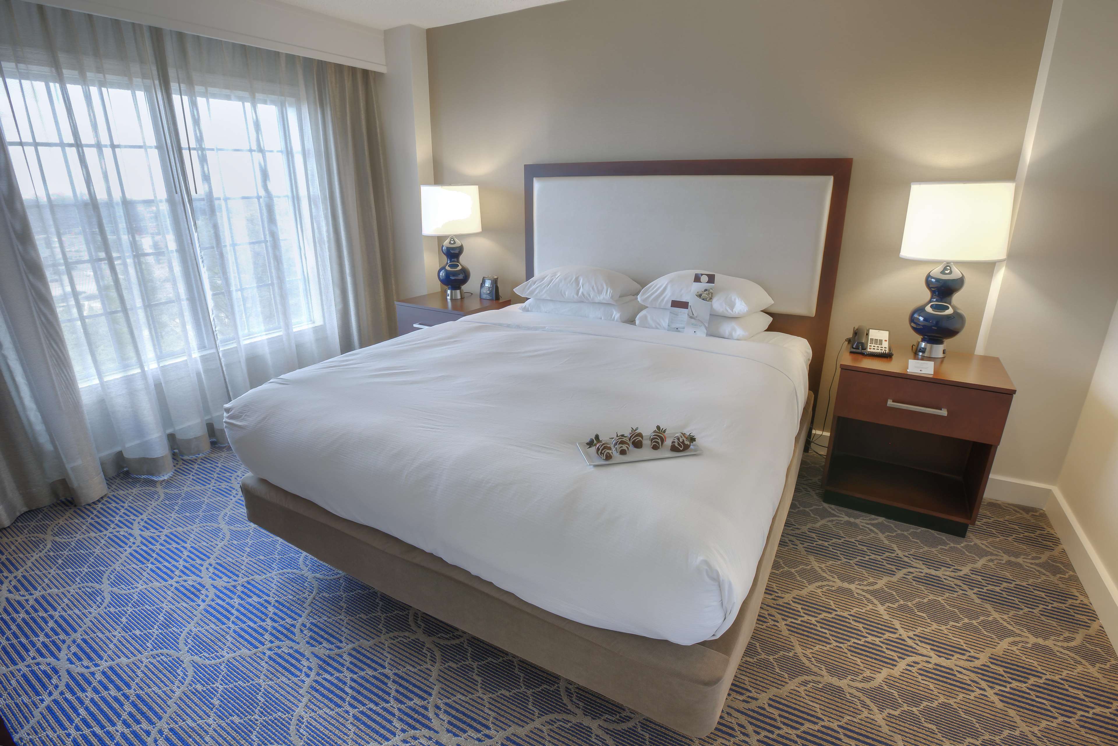 DoubleTree Suites by Hilton Hotel Atlanta - Galleria Photo