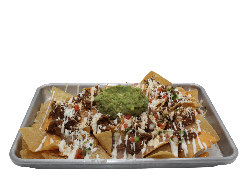 Birria Nachos