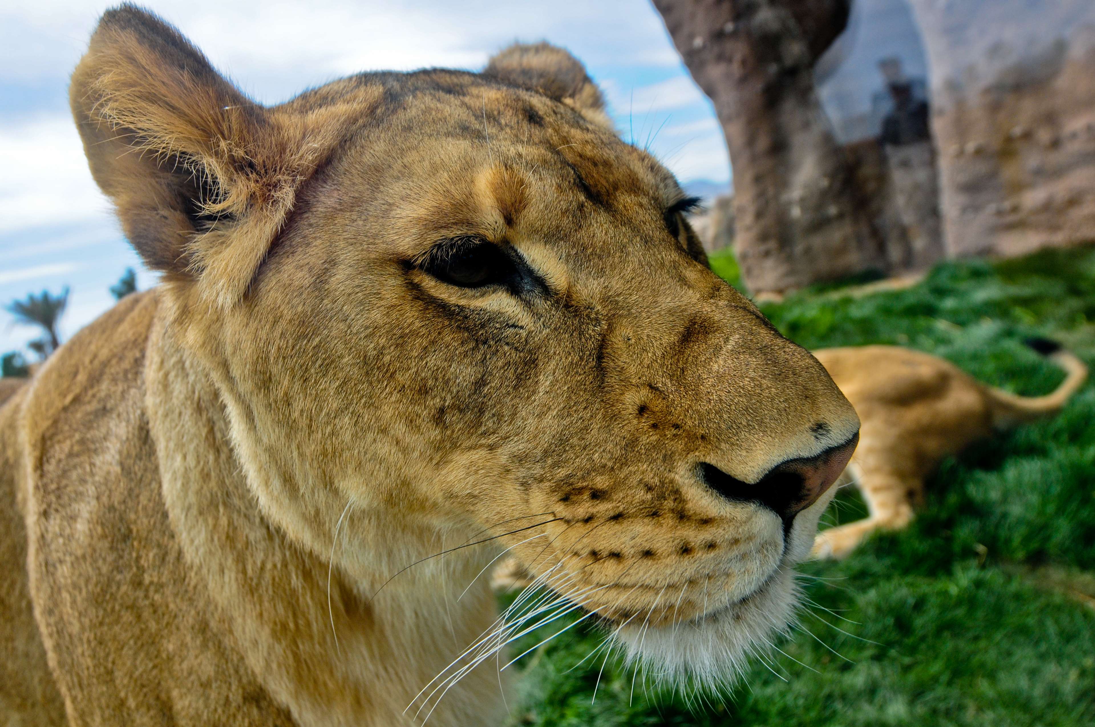 Best Western Plus El Paso Airport Hotel & Conference Center Photo