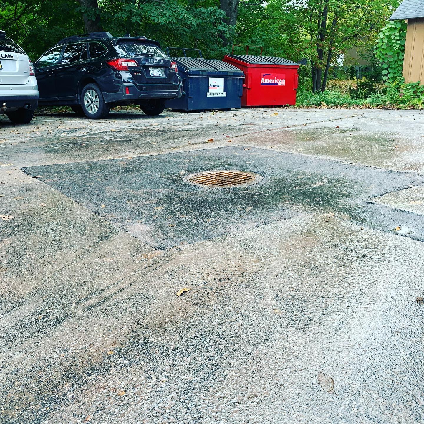 Drain Repair