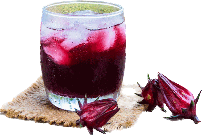 Hibiscus roselle