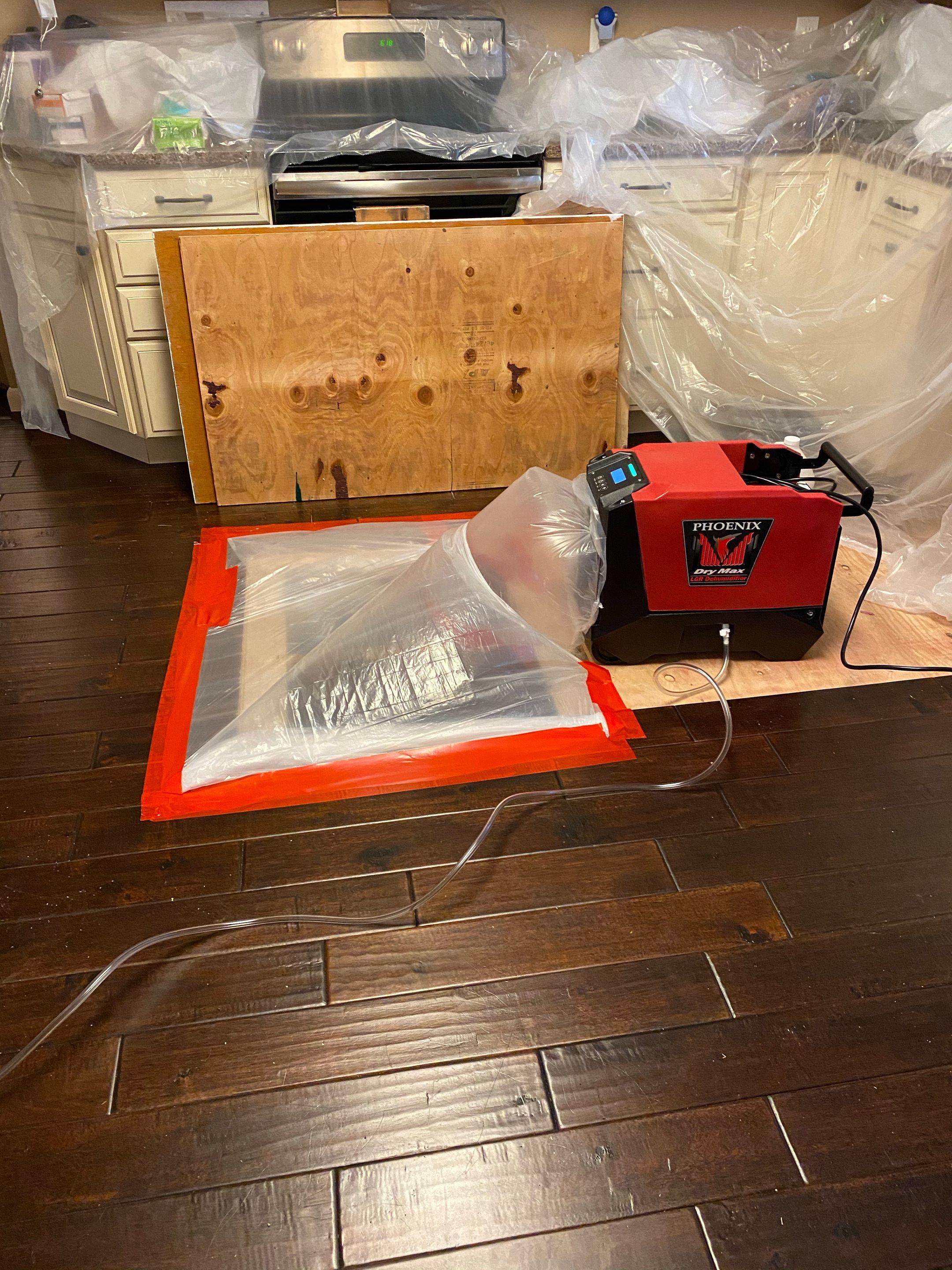 Anatom Restoration Image