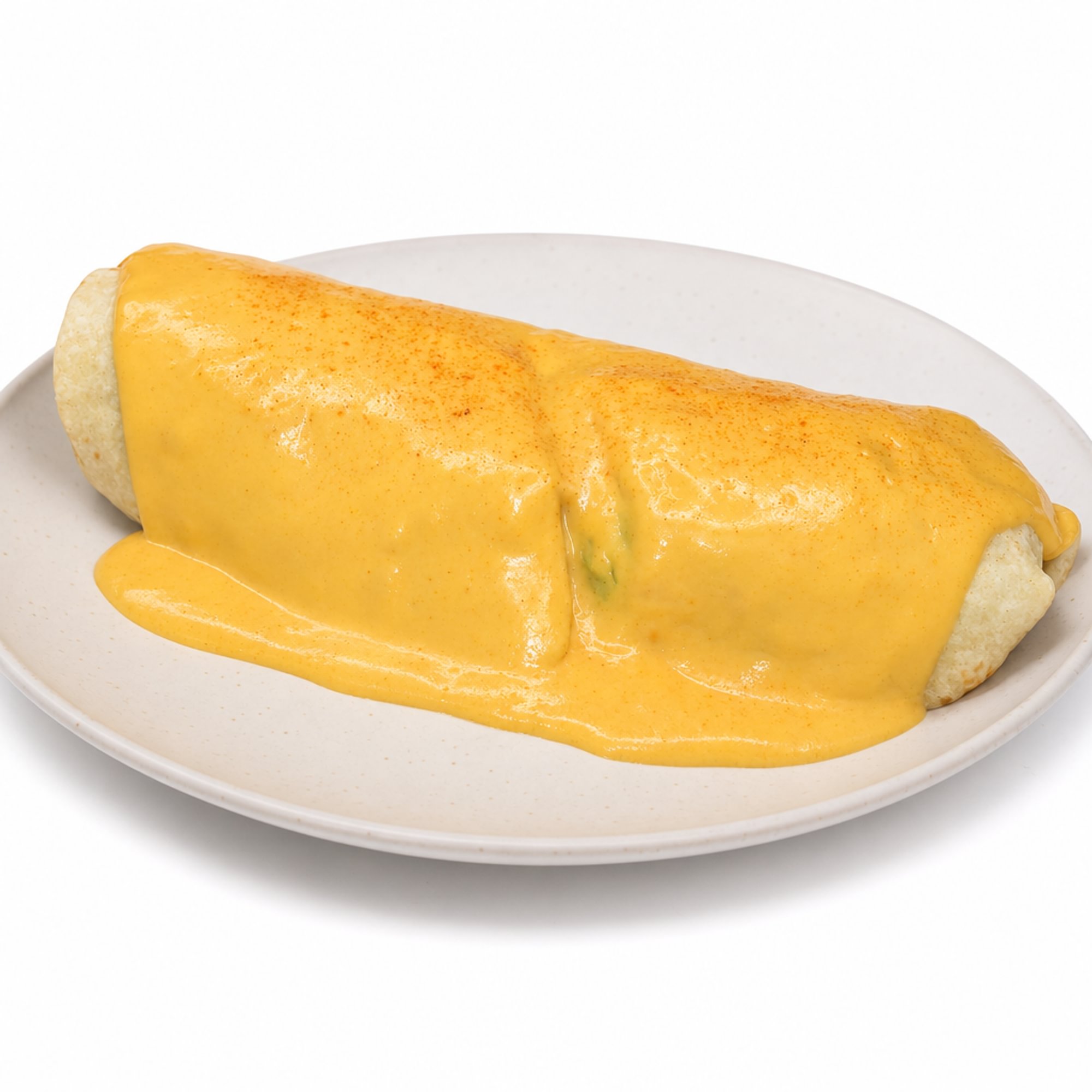 Wet Burrito