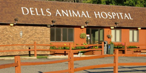 Dells Animal Hospital