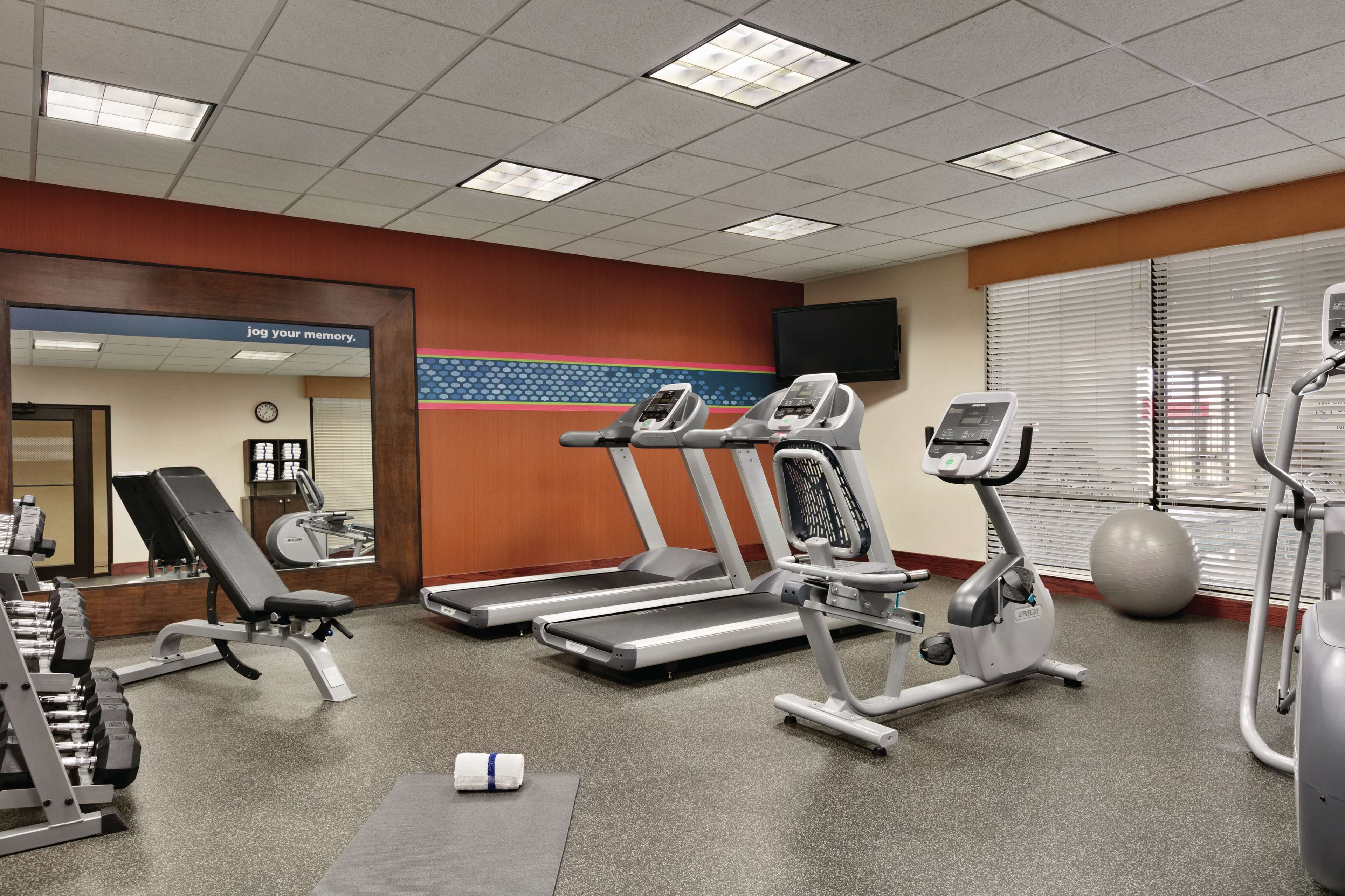 Health club  fitness center  gym