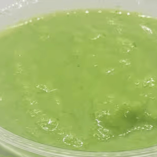 Kale Tropical Smoothie (16 Oz)