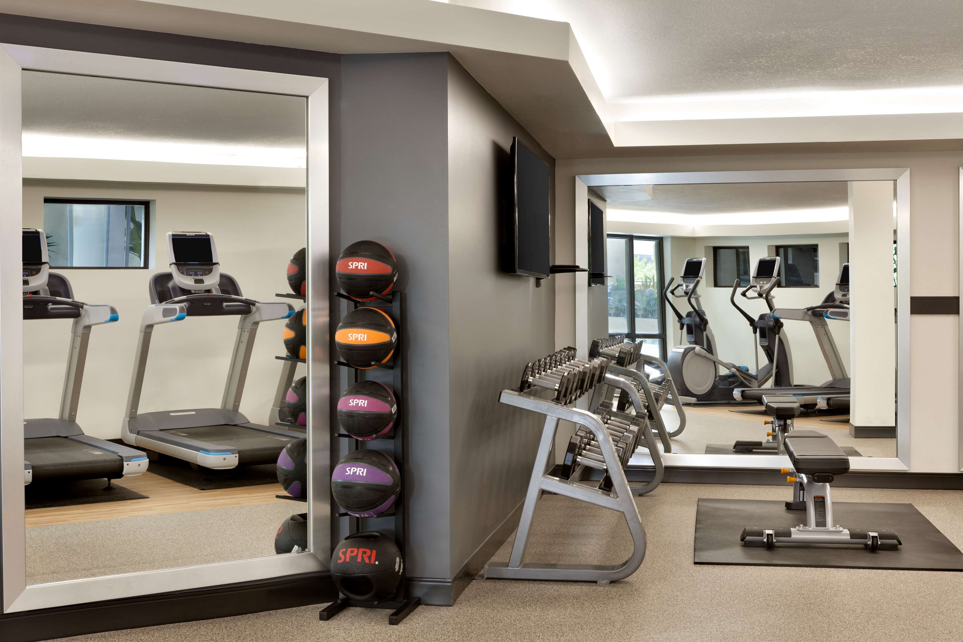 Health club  fitness center  gym