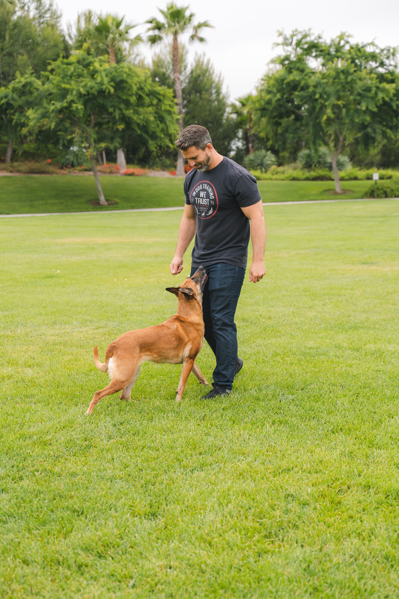 Nate Schoemer Dog Training Image