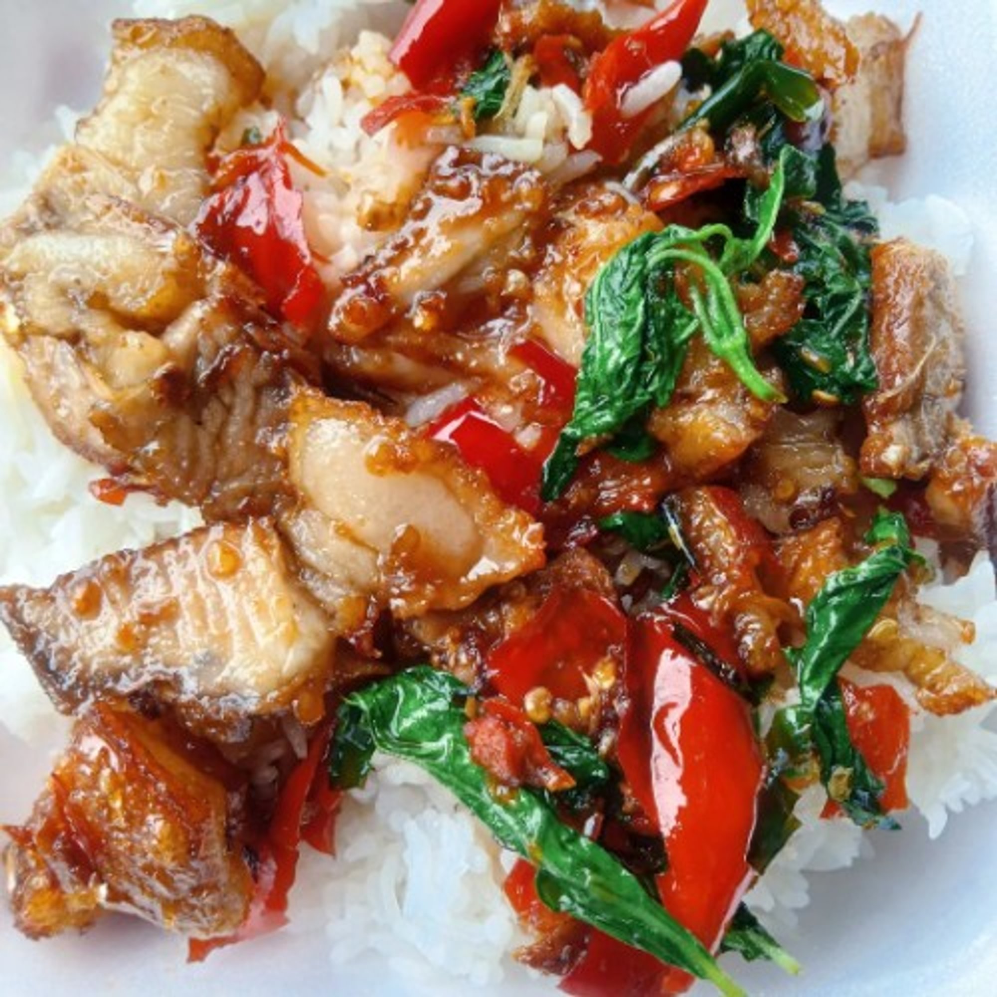 Kra Pow Moo Kob
